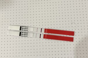 IMG_6931.jpeg IMG_6931.jpeg