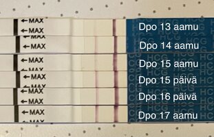 IMG_8504.jpeg IMG_8504.jpeg