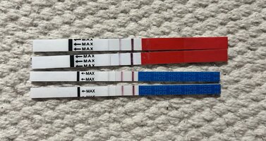 IMG_6965.jpeg IMG_6965.jpeg