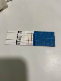 IMG_5115.jpeg IMG_5115.jpeg