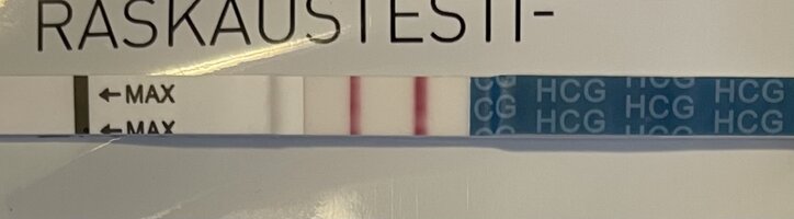 IMG_8518.jpeg IMG_8518.jpeg