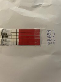 IMG_7946.jpeg IMG_7946.jpeg