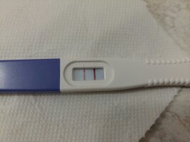 20240102_120654.jpg 20240102_120654.jpg