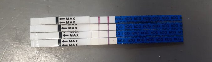 1000020672.jpg 1000020672.jpg