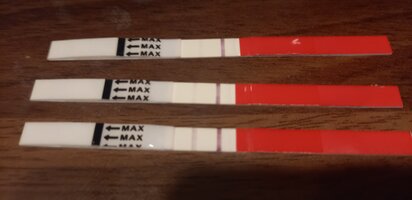 20240113_092241.jpg 20240113_092241.jpg