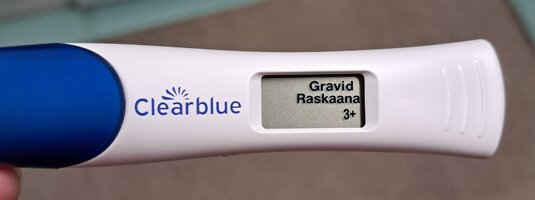 1000020804.jpg 1000020804.jpg