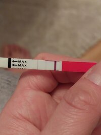 20240114_074144.jpg 20240114_074144.jpg