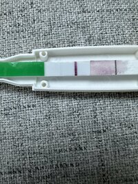 IMG_9570.jpeg IMG_9570.jpeg