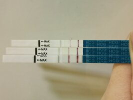 IMG_20240114_104303.jpg IMG_20240114_104303.jpg