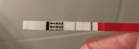 IMG_1071.jpeg IMG_1071.jpeg