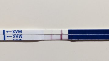 1000012228.jpg 1000012228.jpg