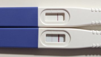 1000012226.jpg 1000012226.jpg