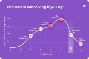 Chances-of-conceiving-if-you-try.jpeg