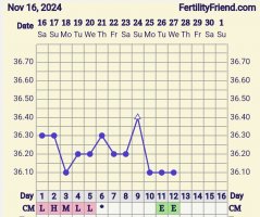 Screenshot_20241127_175756_FF App.jpg