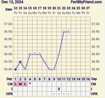 Screenshot_20241223_144353_FF App.jpg