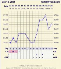 Screenshot_20241226_223521_FF App.jpg