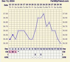 Screenshot_20241230_152927_FF App.jpg