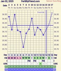 Screenshot_20250118_004722_FF App.jpg