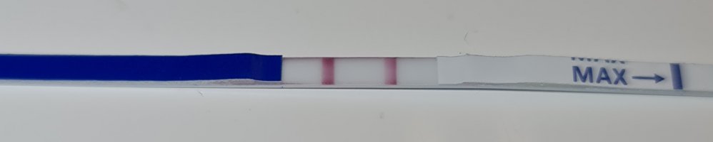 20250203_073454.jpg