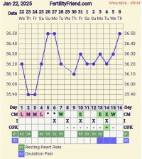 Screenshot_20250206_182800_FF App.jpg