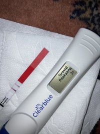 IMG_9027.jpeg