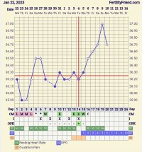 Screenshot_20250210_110930_FF App.jpg