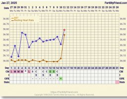 Screenshot_20250211-062616_FF App.jpg