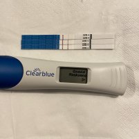 IMG_3992.jpeg