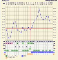 Screenshot_20250215_234559_FF App.jpg