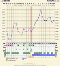 Screenshot_20250216_092438_FF App.jpg