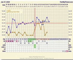 Screenshot_20250217-061017_FF App.jpg