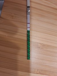 1000067068.jpg