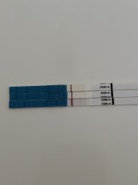 IMG_1159.jpeg