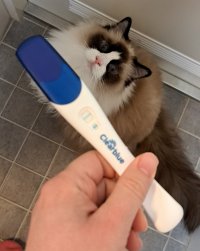 1000061270.jpg 1000061270.jpg