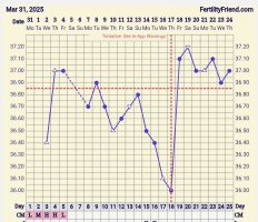 Screenshot_20250424_182533_FF App.jpg