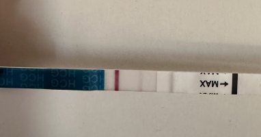 IMG_0754.jpeg IMG_0754.jpeg