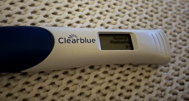 IMG_4099.jpeg IMG_4099.jpeg