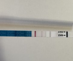 IMG_0757.jpeg IMG_0757.jpeg