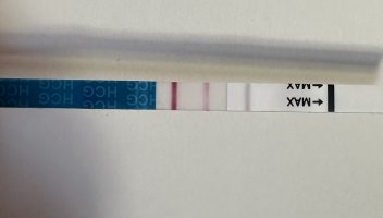 IMG_0782.jpeg IMG_0782.jpeg