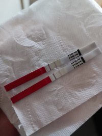 IMG_20250427_103330.jpg IMG_20250427_103330.jpg