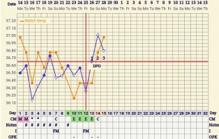 Screenshot_20250428_111155_FF App.jpg