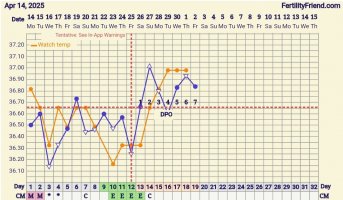 Screenshot_20250502_121531_FF App.jpg