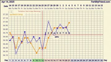 Screenshot_20250504_080910_FF App.jpg