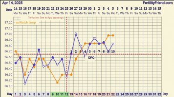 Screenshot_20250505_065042_FF App.jpg