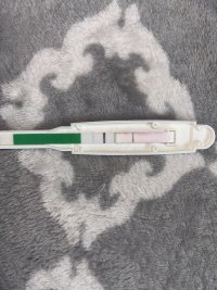 IMG_3369.jpeg IMG_3369.jpeg