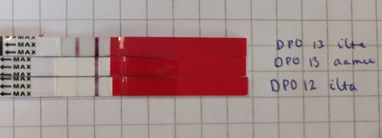 IMG_20250510_194757__01.jpg IMG_20250510_194757__01.jpg