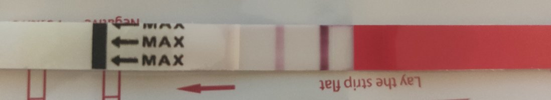 IMG_20250512_063618__01.jpg IMG_20250512_063618__01.jpg