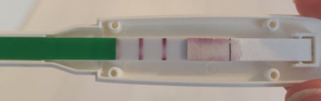 IMG_20250512_063741__01.jpg IMG_20250512_063741__01.jpg