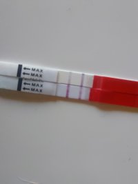 1000159489.jpg 1000159489.jpg