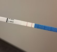 1000066972.jpg 1000066972.jpg